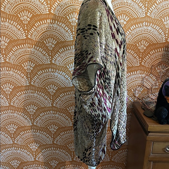 Sheer Velvet Kimono Cardigan - Picture 3 of 5